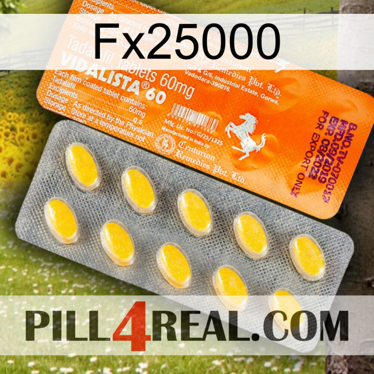 Fx25000 new05